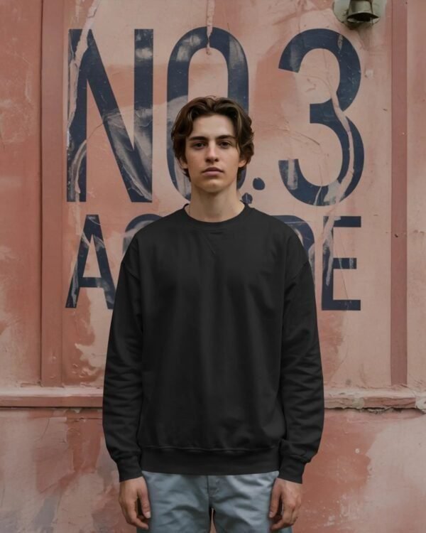 mountcart sweatshirt for men